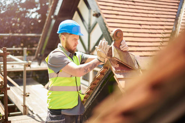 Best Roof Maintenance Services  in Lakin, KS